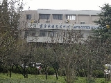 上海師範大学